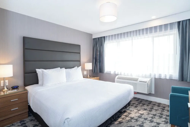 Standard Double Suite