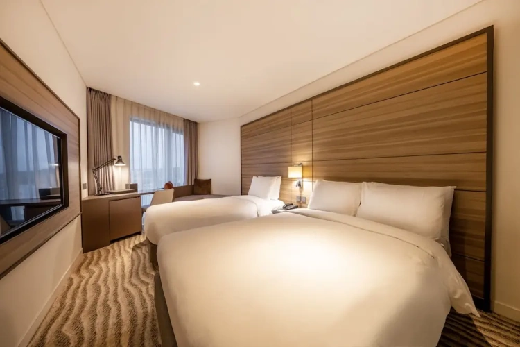 Deluxe Twin Family room