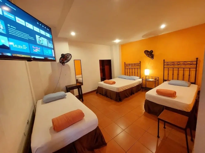 Standard Quadruple Family Basement room