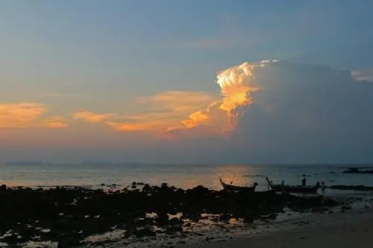 Sea Culture