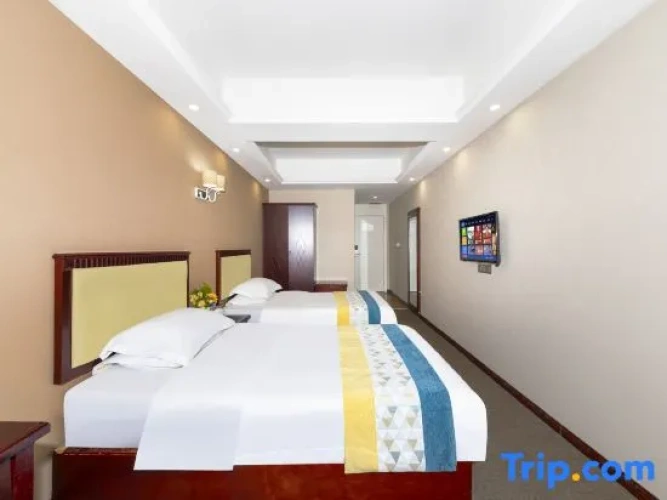 Standard Twin room with city view