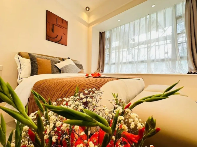 1 Bedroom Deluxe Apartment with balcony and with city view