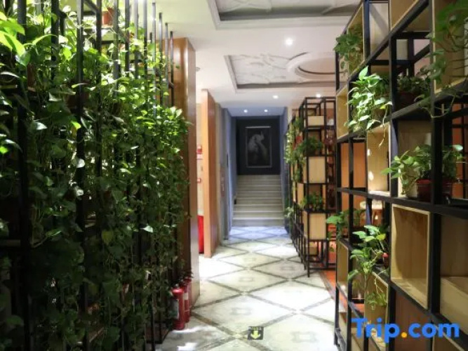 Buttonwood Fashion Hotel