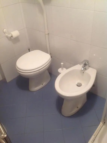 Suite 5