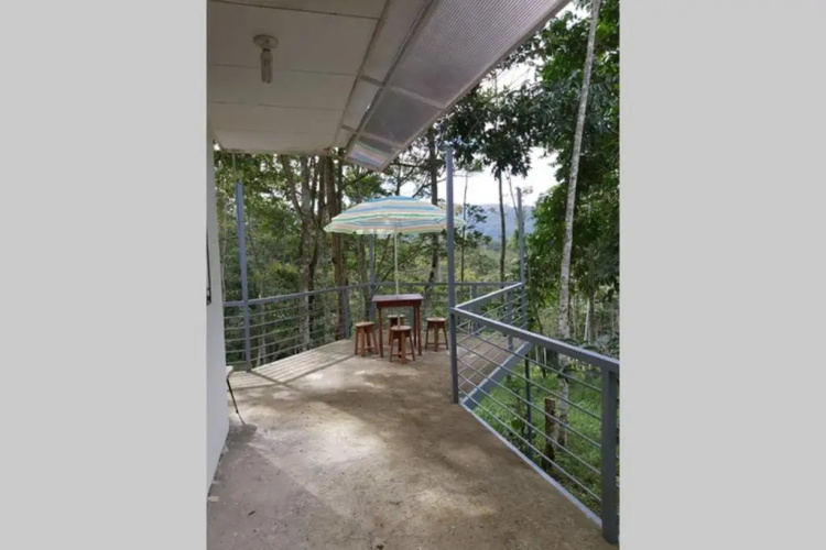 The Calm House