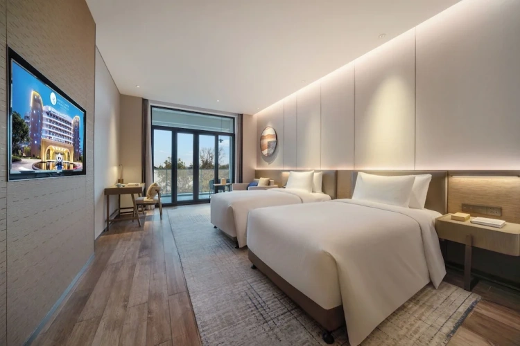 Deluxe Twin room with garden view