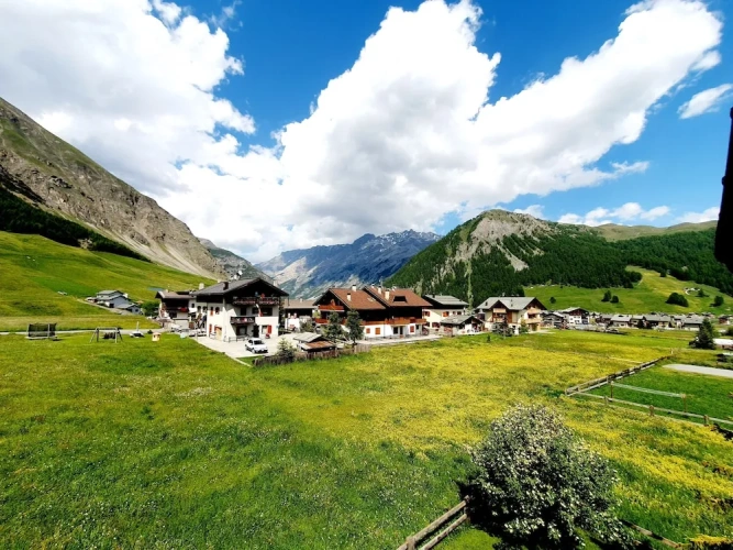 1 Bedroom Apartment with mountain view