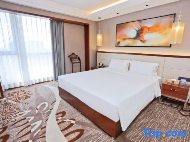Triple Family Suite