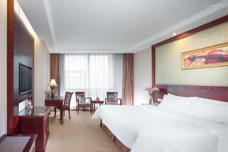 Executive Twin room