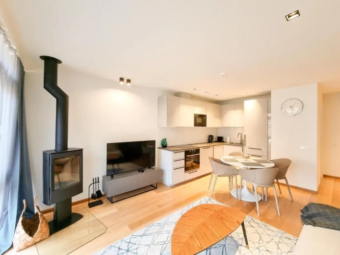 1 Bedroom Apartment