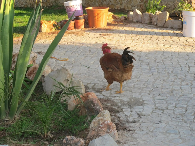 Quinta Vita - Vila Uva