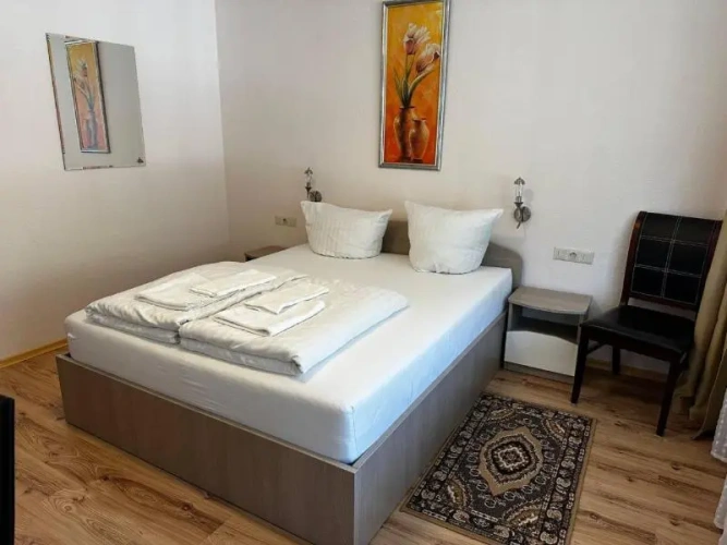 Standard Double room with balcony and with mountain view
