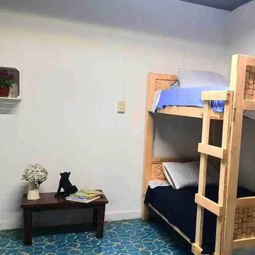 Casa de Las Flores - Hostel