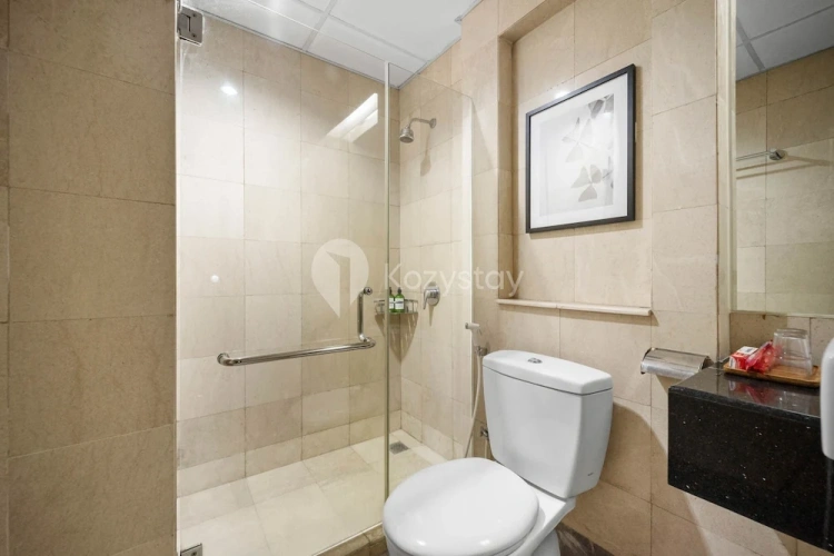 1 Bedroom Apartment with city view