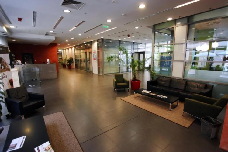 Modern Wellness Studio
