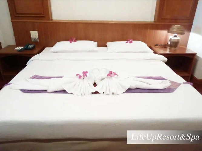 1 Bedroom Deluxe Double room