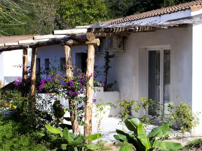 Classic Single room with garden view