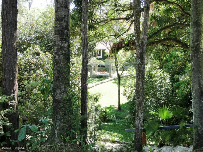 Hotel Bougainville Over view