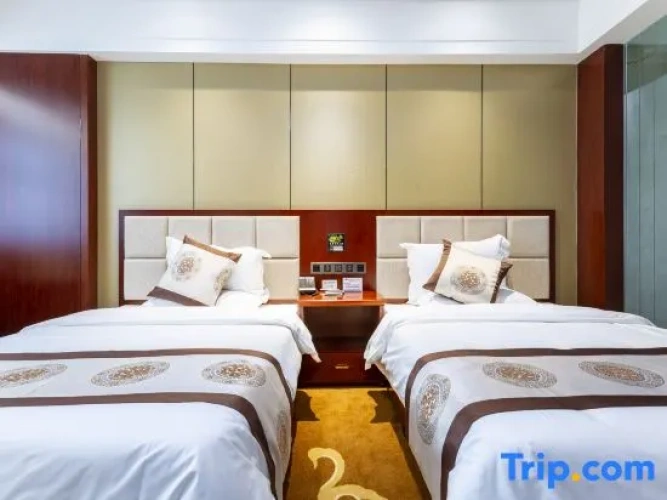 Executive Quadruple Suite