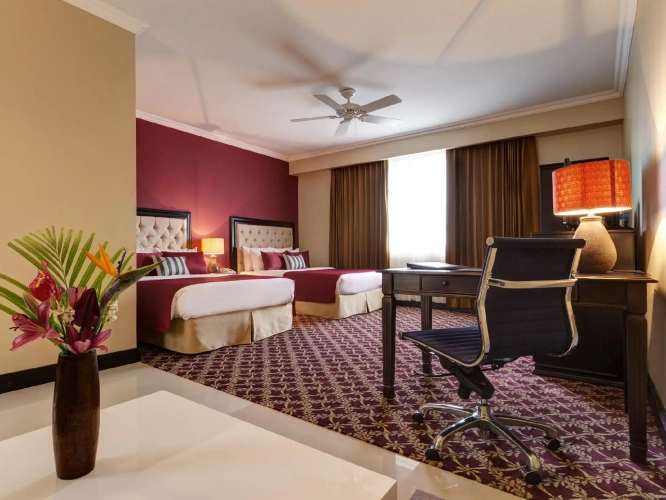Single Junior Suite