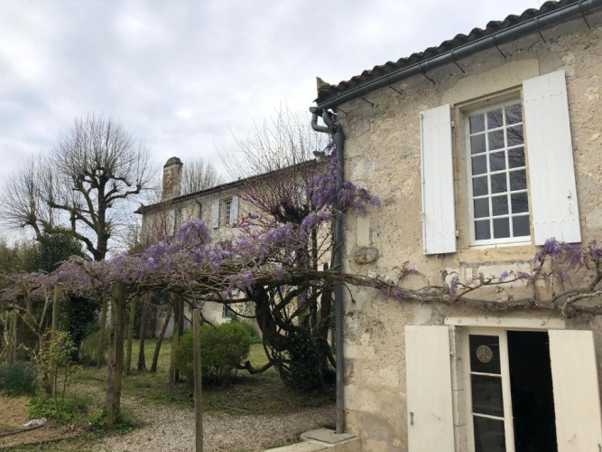 Double Studio with garden view