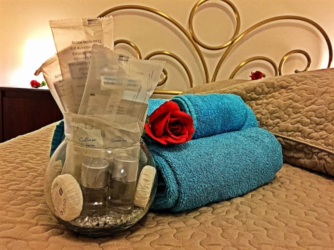 Comfort Double room with balcony and with garden view