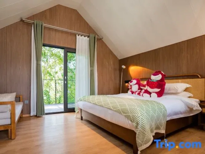 Premier Double room with balcony