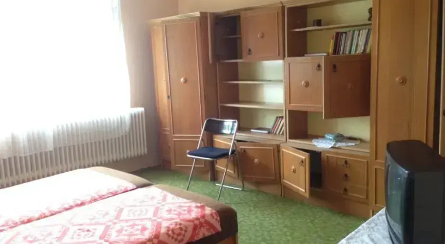 Apartment Bódis