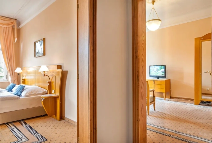 Deluxe Apartment