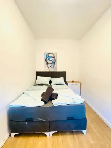 Spacious 4BR for 15 & 15 Min to Danube