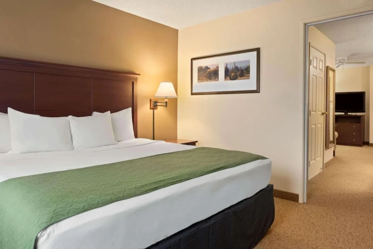 1 Bedroom Suite