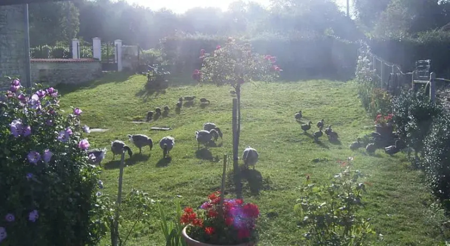 Holiday Home Les Vallons