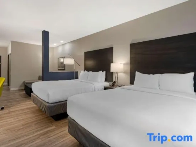 Quadruple Suite