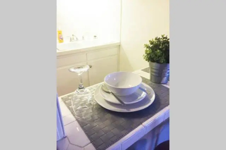 Downtown 1 Bedroom Apt 20L