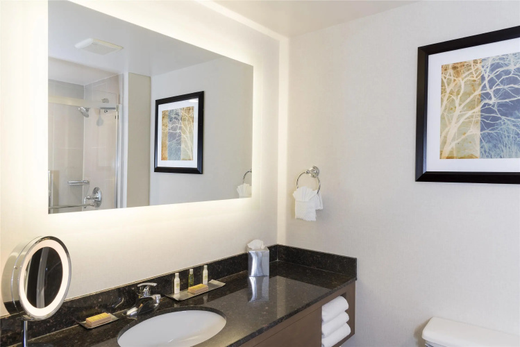 DoubleTree by Hilton Pleasant Prairie Kenosha photo 11