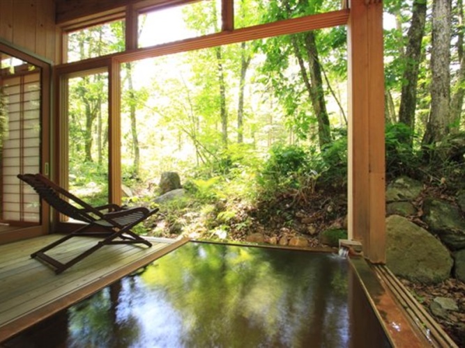 Standard Twin room with land view
