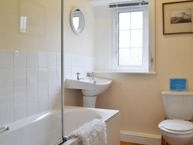 Birch