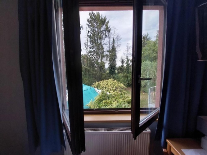 Standard Double room with garden view