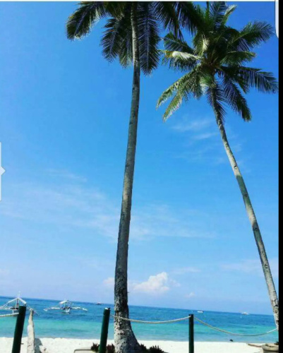 Blue Ocean Bohol Beachfront