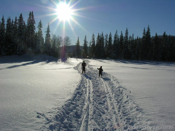 Sole Hotell & Herregaard