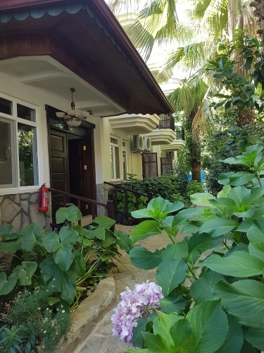 Standard Double room with balcony and with view