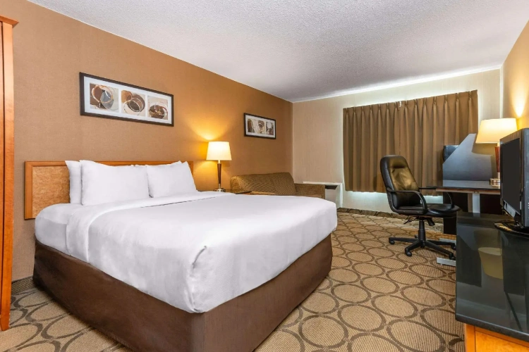 Standard Double room