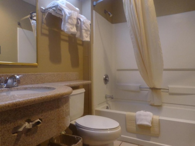 Standard Double Basement room