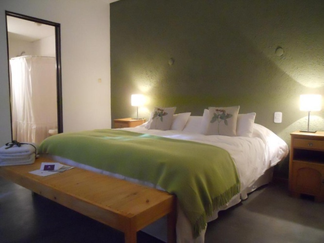 Standard Double room with view