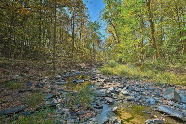 Catskill Mtn Home w/ Deck ~ 1 Miles to Zoom Flume!