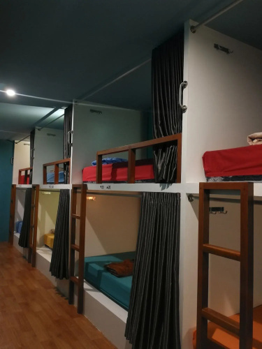 Sleepy Raccoon Hostel