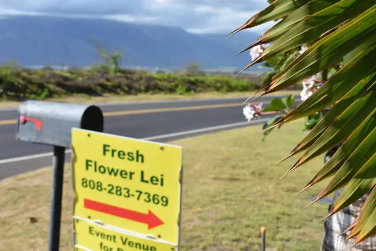 Nona Lani CottagesOver view