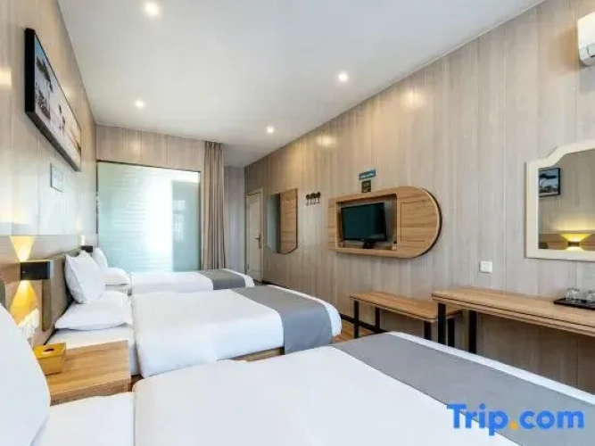 Business Triple room