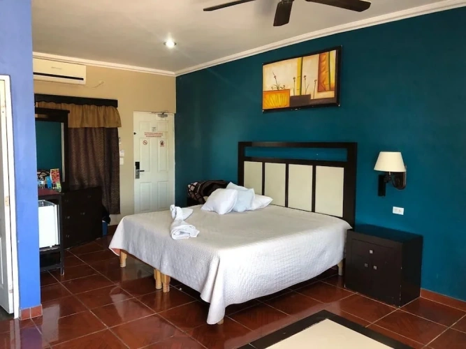 Superior Double Studio with city view
