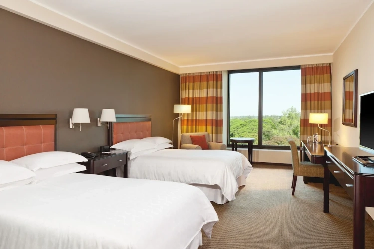 Standard Twin Club room